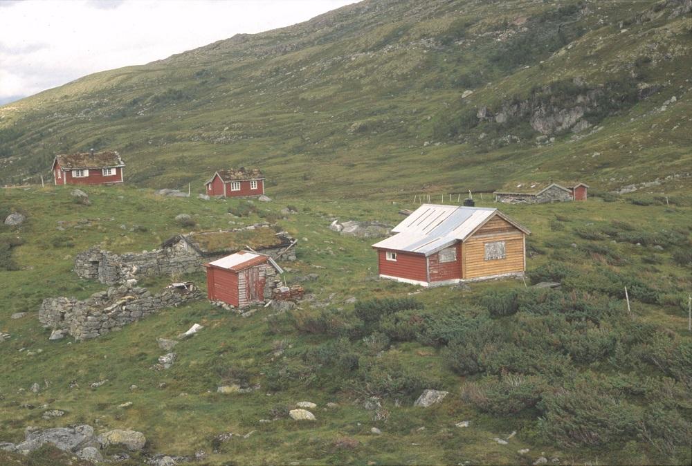 Utsikt over Seimestølen.