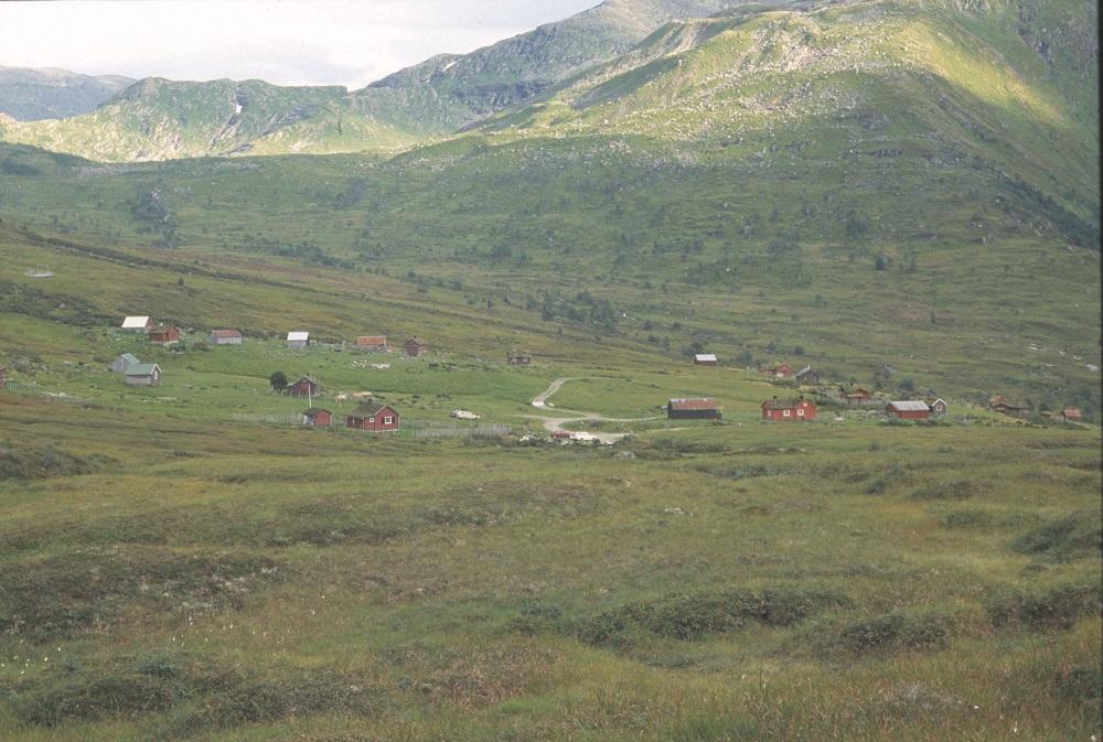 Oversikt over Årdalstølen med beitemark.