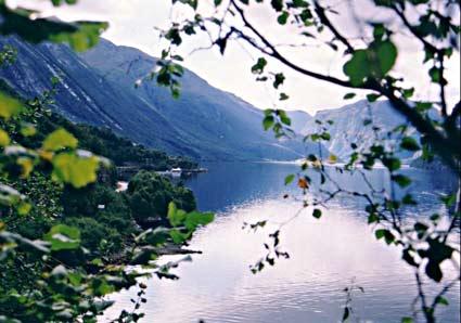 Frå Todørshelleren er utsikta god innover Hyefjorden. Garden Kleppenes, der Bernhard og Kristian budde, ligg på neset litt til venstre for midten av biletet. Terrenget i Hyestranda er ulendt. I dag er det veg langs fjorden. I 1945 var båten einaste framkomstmidlet, om ein skulle kome seg frå Hyen, inst i fjordbotnen, til Hestenesøyra ytst i fjorden.