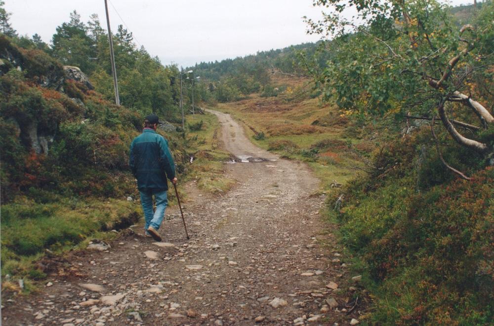 Klypedal, på vegen mot Brekkestova på Utvikfjellet.
