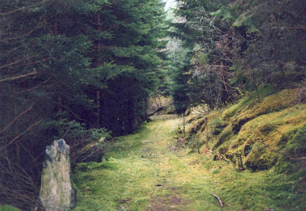 I dag er ikkje gamlevegen i praktisk bruk, og gras og annan vegetasjon får gro forholdsvis fritt. Det meste av området rundt er tilplanta med gran, så utsikta mot Kandalsgrenda, på andre sida av vatnet, er dermed mykje godt vekke.