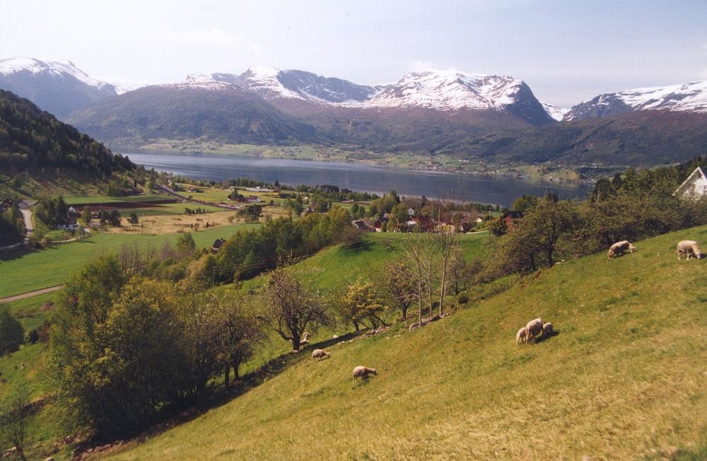 Vereidesletta sett frå Åsebø. På den andre sida av fjorden ser vi Sørstranda og Sørstrandsfjella.

