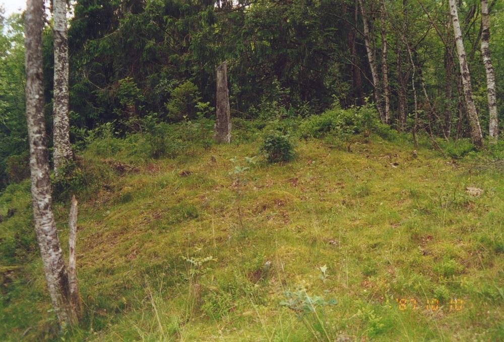 Bautasteinen står på ein vid haug eller knaus der det er tilvakse med skog på vestsida, men opnare lende austover.