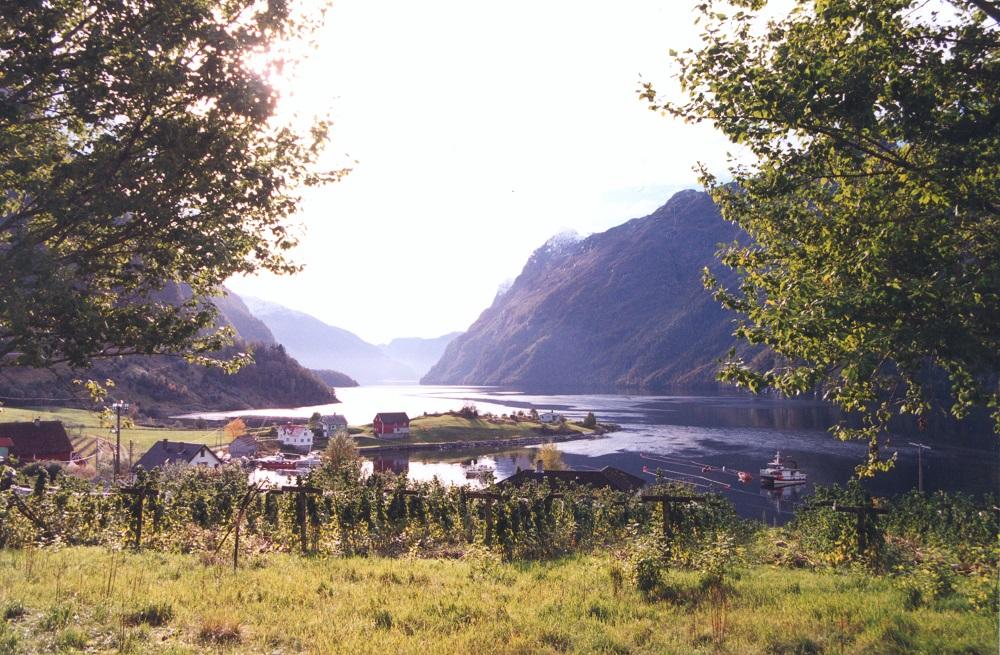 Utsikt frå Gardneset mot Hyefjorden. Hyefjorden går rett nord/sør. Området ved eika vert difor lunt og solrikt.
