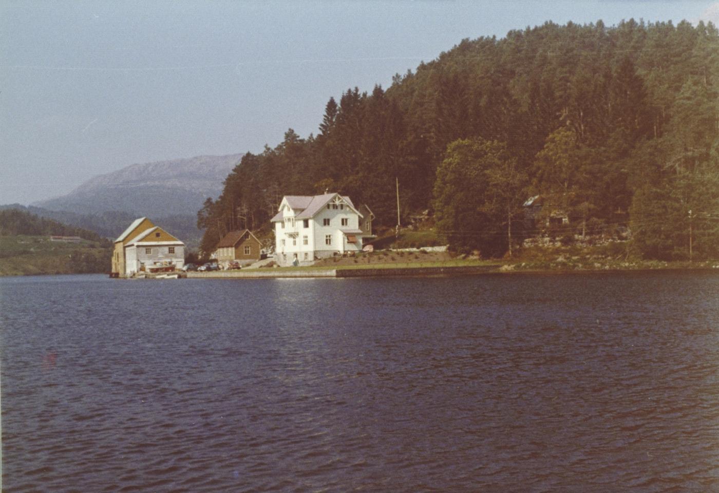 Kviteneset sett frå sjøen. Til venstre på biletet ligg bygningen som var tønnefabrikk, og seinare vart båtfabrikk. Det store kvite huset vart ei tid brukt til hotell - Bygstad Hotell.
