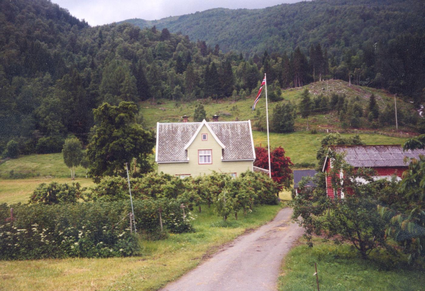 Biletet syner bruk nr. 7 frå nedsida av riksvegen med utsyn til Tussdalen. Til høgre i biletet ser me så vidt Tusselva. Haugen til venstre for elvefaret heiter Tråhaugen. Dei frykta at skreda ville gå over denne og koma ned bakkane rett mot husa. Det skjedde ikkje, men dei såg snøspruten over tretoppane i dette området.