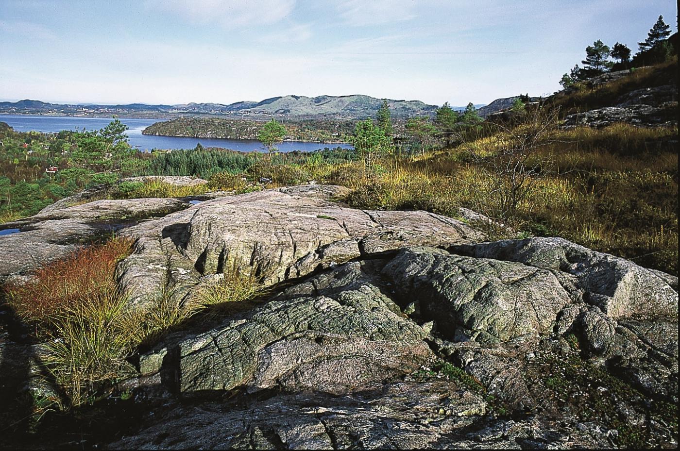 Eklogittbergartar på Ådnefjellet