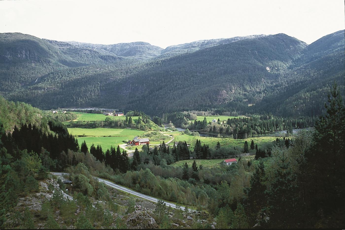 Under grasengene ligg det store mengder sand og grus