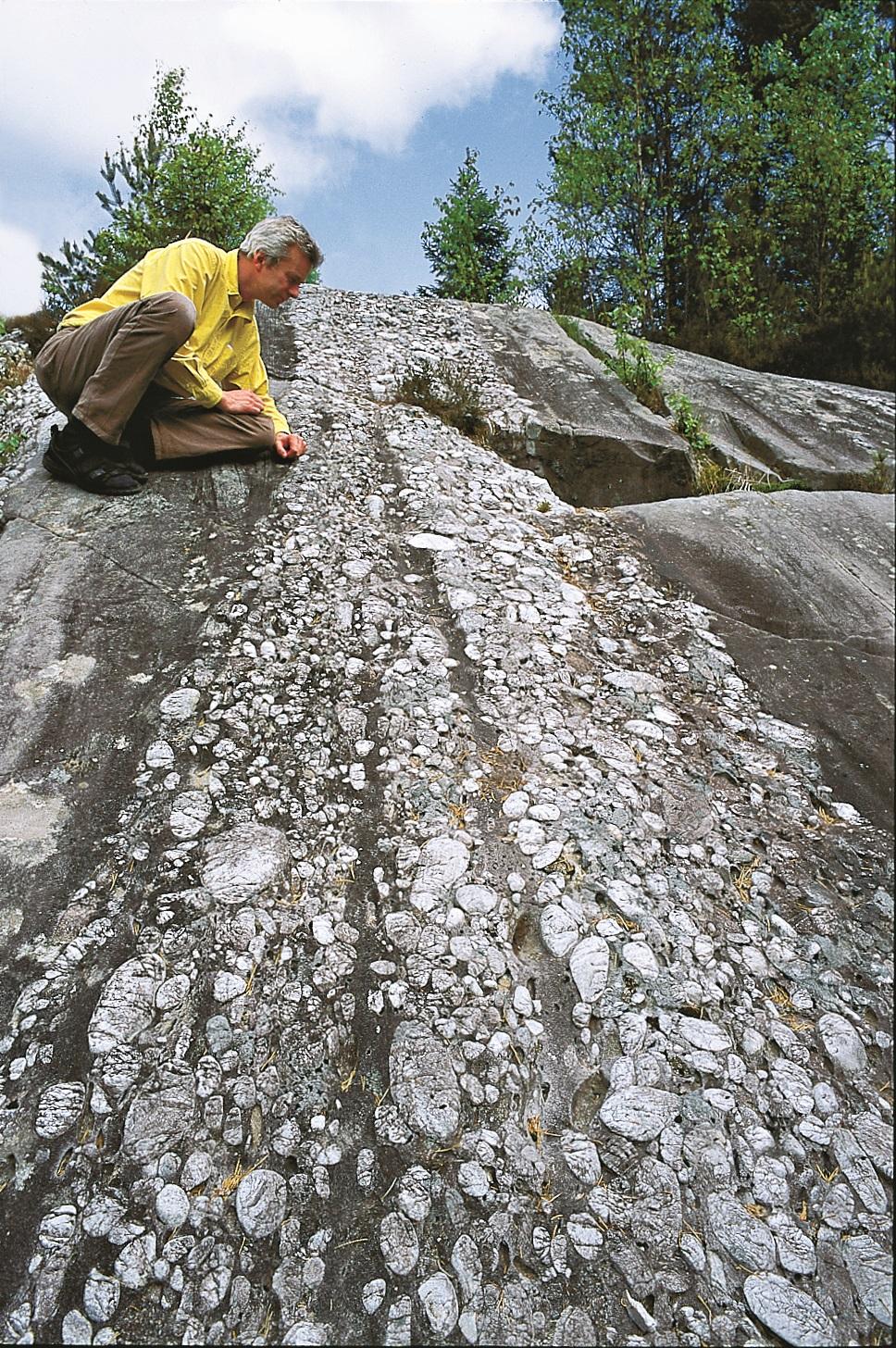 Geolog William Helland-Hansen studerer kvartskonglomeratet i Ulvensynklinalen på ein av haugane ved nordvestenden av Ulvenvatnet