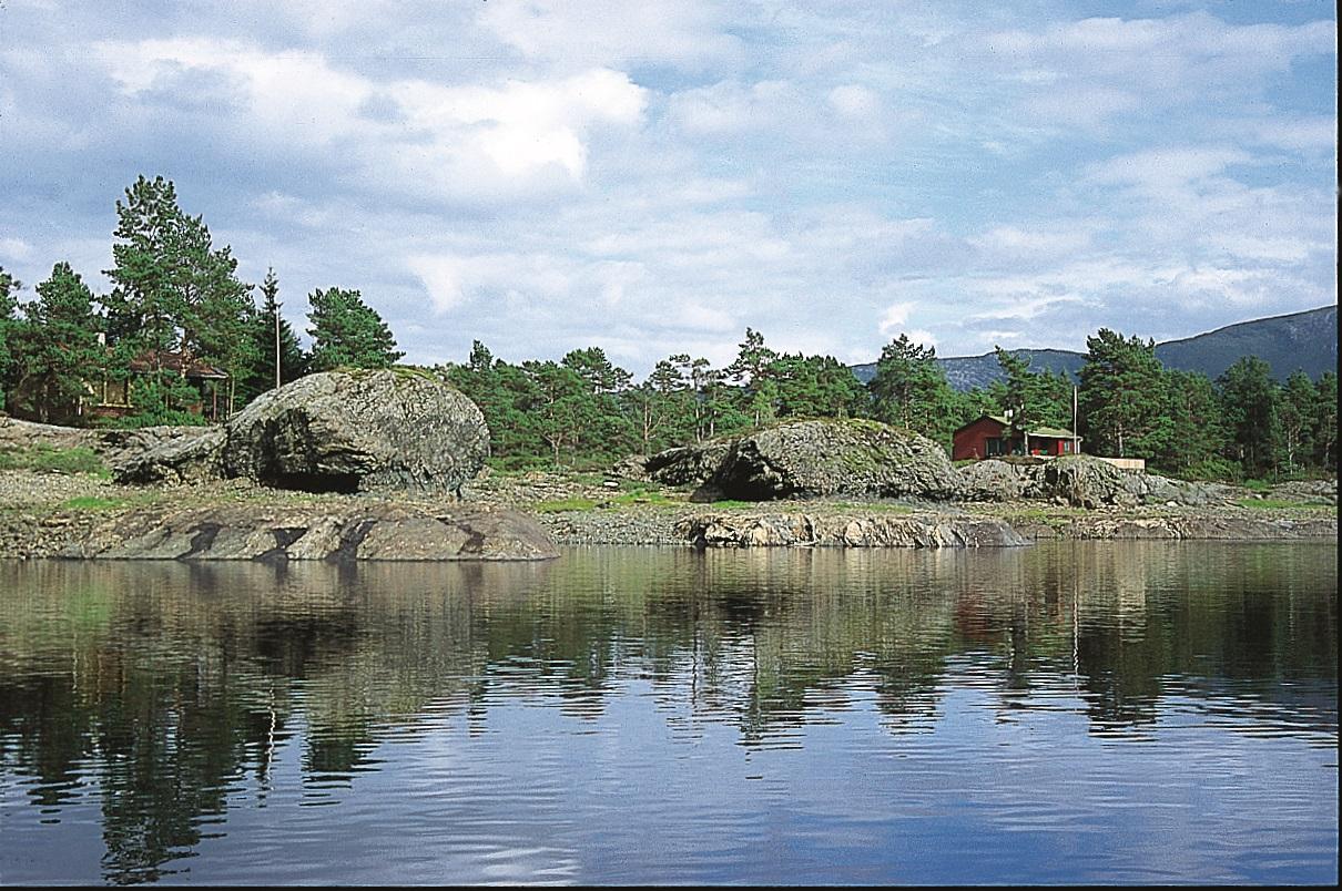 Strandlinjehylla langs storavatnet