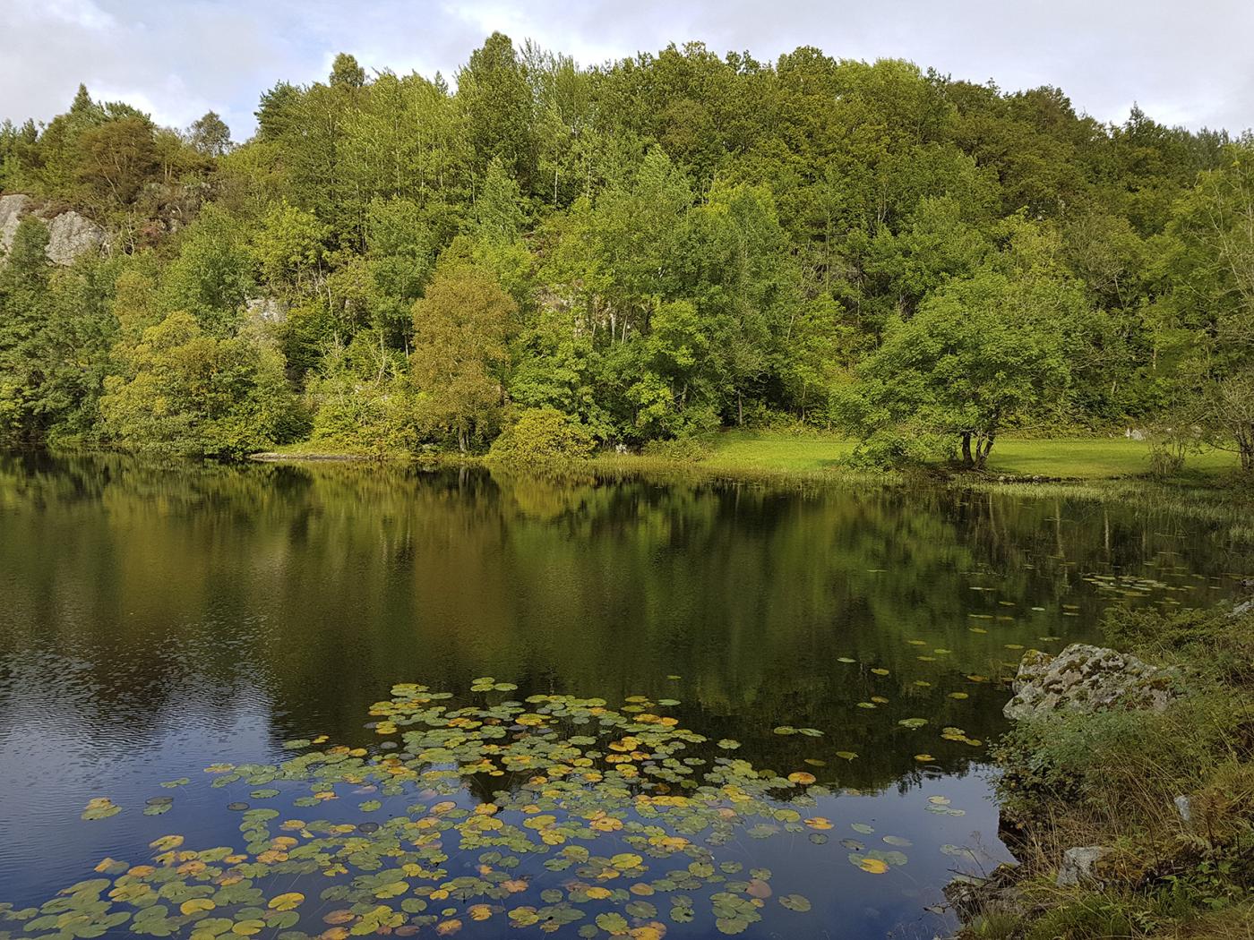 Ostrabakkjen ligg midt i biletet, like ovanfor Foldrøyvatnet.