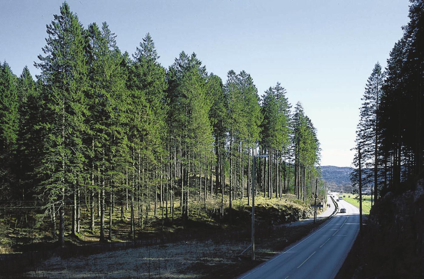 Rådalen
