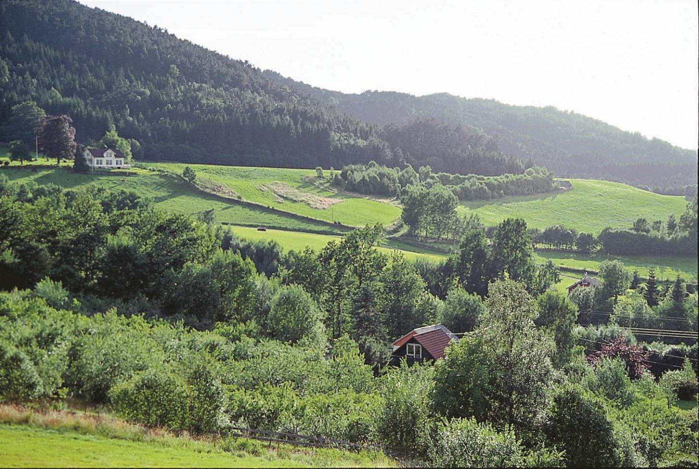 Den flate terrassen på moreneryggen på garden Tjedla viser kor høgt havet stod på slutten av den siste istida.