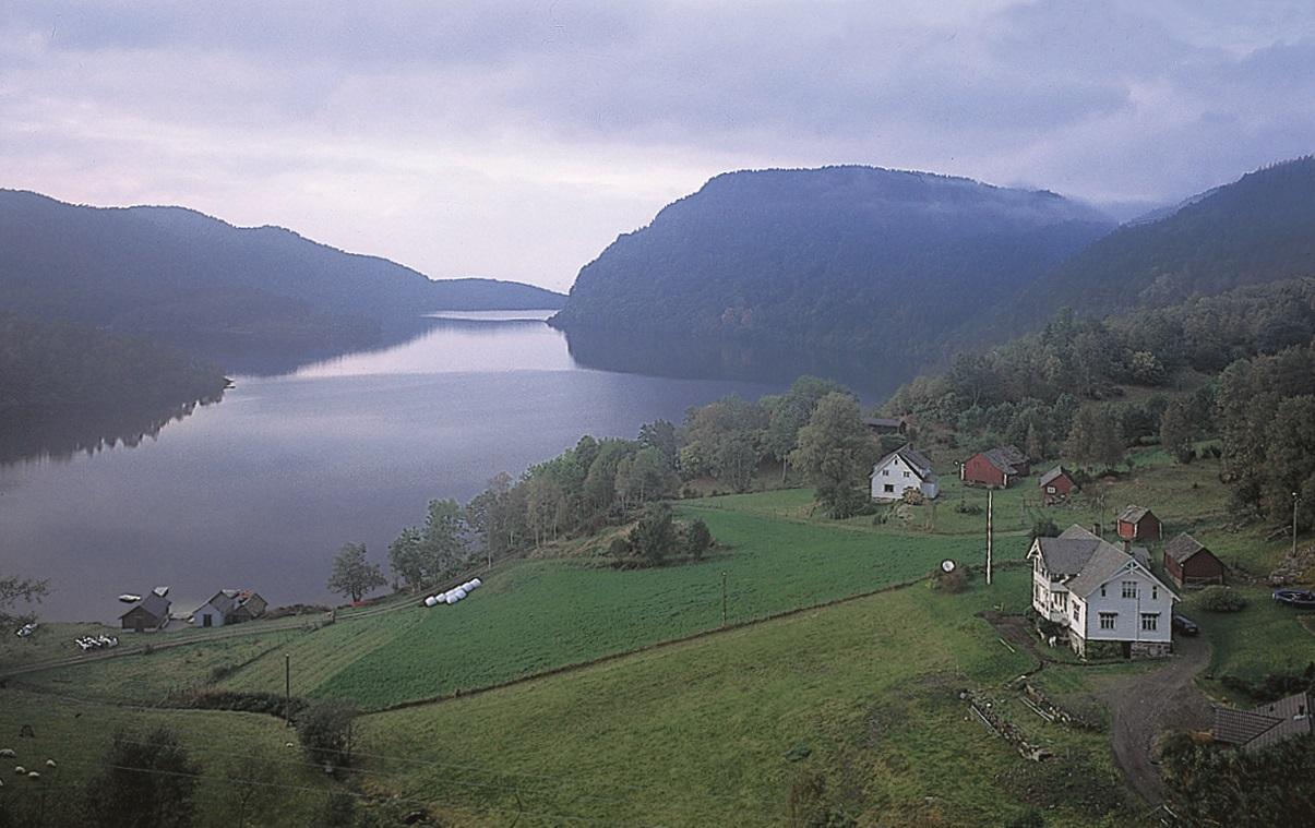 Tysnes viste seg å vera ein kommune med mange stader der flaggermusa hadde tilhald