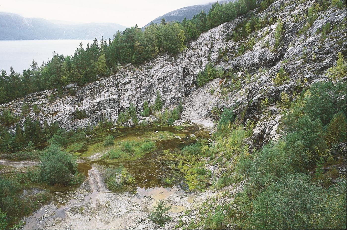 Kvartsittbrotet i fjellet ovanfor Kvalvikane