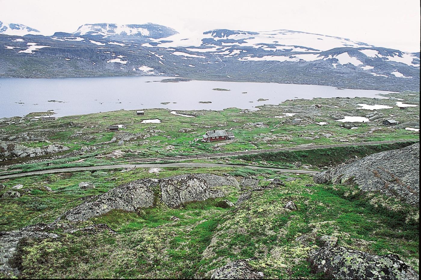 Frå skråninga framfor Nordrenut. Finsevatnet og Hardangerjøkulen i bakgrunnen