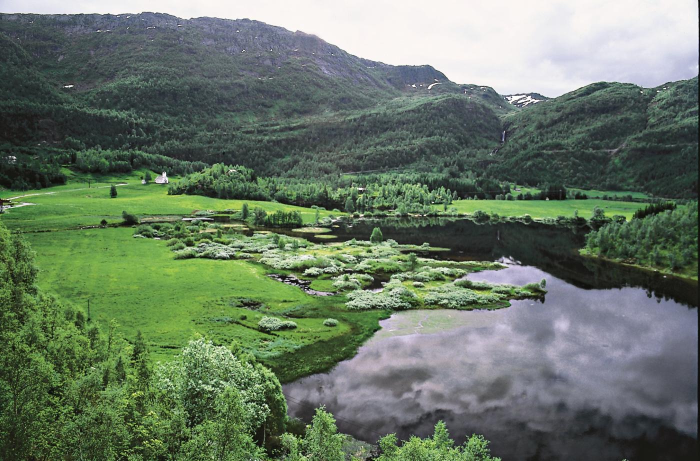 Nesheimvatnet