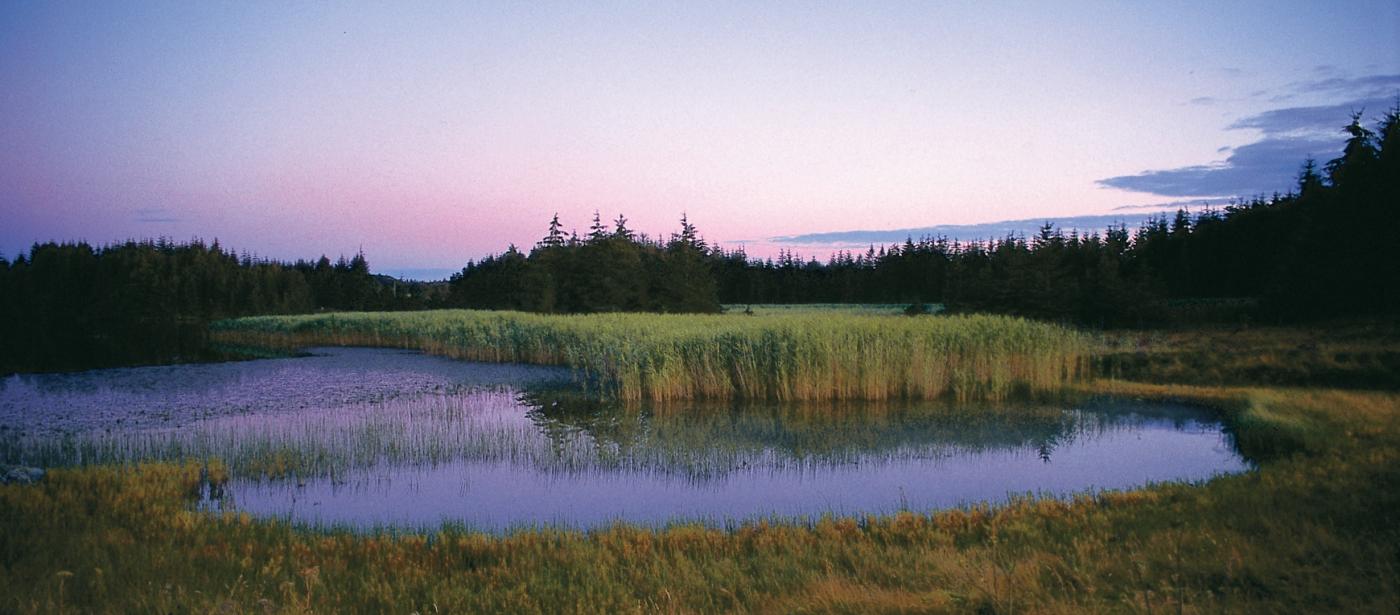 Purkebolsvatnet