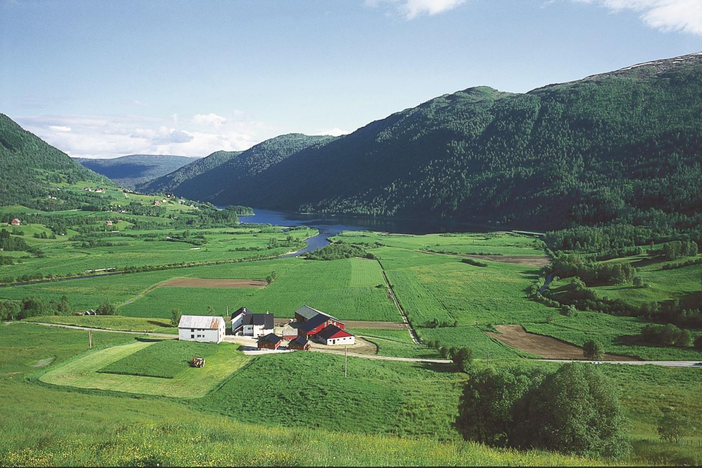 Frå Skjervheim mot Myrkdalsvatnet