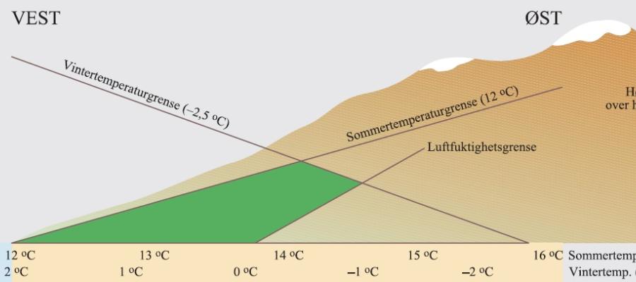 Skjematisk framstilling av utbredelsesområdet til en kystplante forklart ut fra temperatur og luftfuktighet