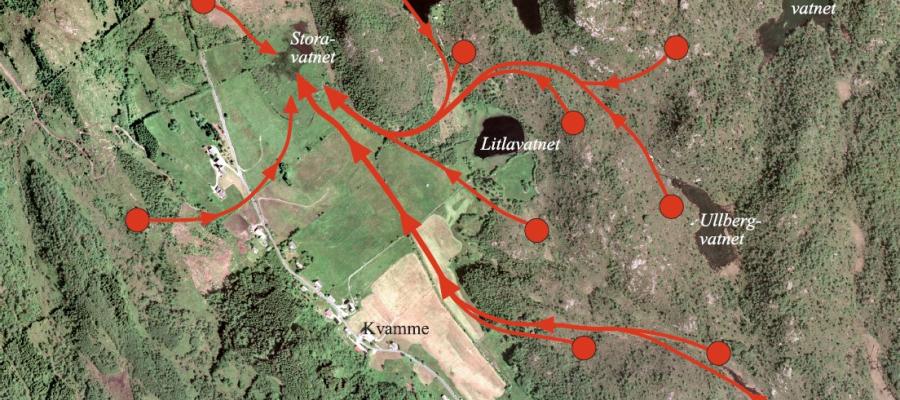 Flyfotoet viser hvordan krikkandreirene fordelte seg i terrenget ved Kvamme, Arna bydel i Bergen i 1983