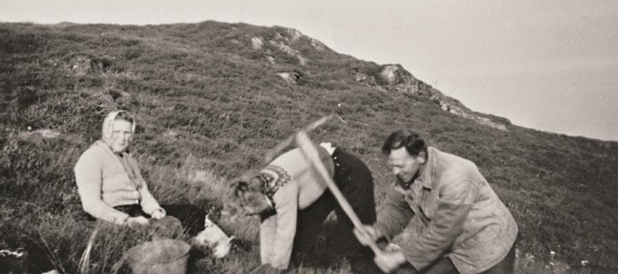 Skogplanting på Bakka i Austrheim ca. 1965