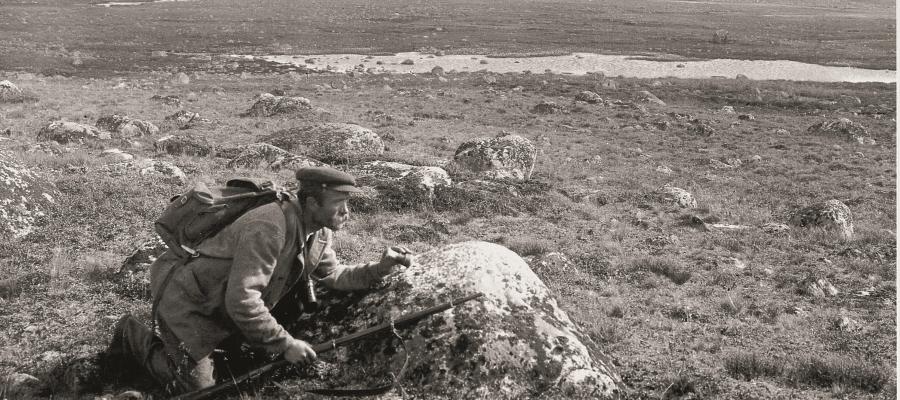 Reinsjakt på Hardangervidda