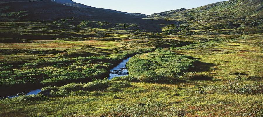 Området mellom Fossli og Skykkjedalen