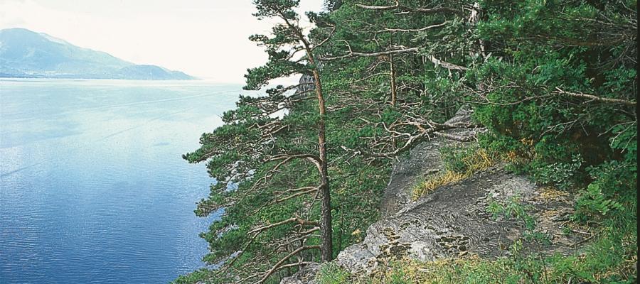 Teigen sør for Hatlestrand, Kvinnherad