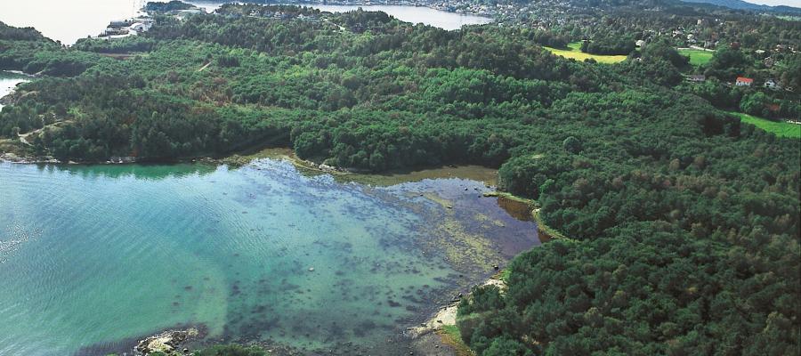 Oversikt over Hystad, Stord, med svartorskogen og stranda