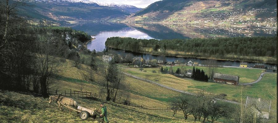  Prestegardsmoen midt i bildet, mellom Vosso og Vangsvatnet.