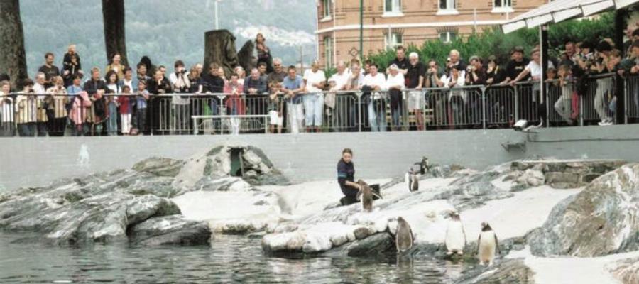 Akvariet i Bergen