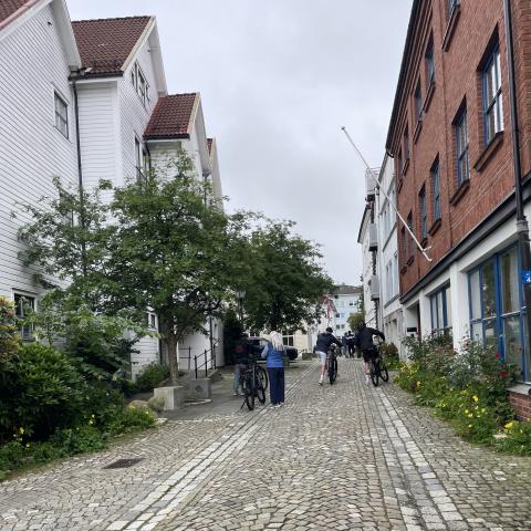 Lille Markevei