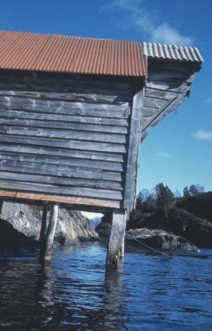 Fram til midt på 1970-talet stod denne sjøbua i hamna på Borsholmen og vitna om stor aktivitet. Bua vart truleg reist av Andreas  Borsholm ca. 1915. Ho fall ned under ein vestaversstorm i 1975.