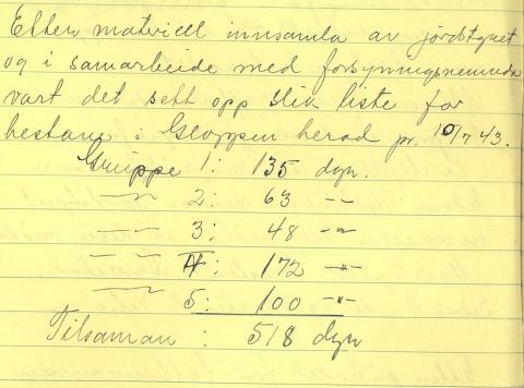 Liste over hestar i Gloppen i 1943. Hestenemndene skulle halde seg orienterte om talet på dyr i kommunane. I Gloppen var det i alt 518 hestar, fordelt på ulike årsklassar. Gruppe 1 var føl under 1 år, gruppe 2 1-2 år, gruppe 3 var hestar frå 2-3 år, gruppe 4 dyr frå 4-12 år og den siste var hestar over 12 år.