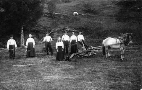 Første slåmaskina på garden var eit ynda fotomotiv. Her kan det og verke som det er ein av sønene på garden som sit på maskina, noko som er med på å understreke det moderne og framtidsretta.