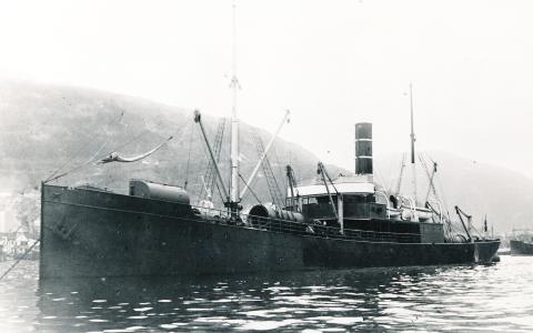 DS «Pollux», Det Bergenske Dampskibsselskab, bygd ved Fevig Jernskibsbyggeri, levert 1907. Krigsforliste 19. mars 1917 på veg frå Newcastle, England til Bergen. Åtte av mannskapet og sju av passasjerane omkom, mellom dei, 2. styrmann, Lars B. Lyngnæs, busett i Florø.