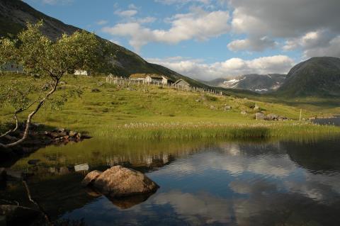 Stølen Nordalen i Holsen. Fjellet i bakgrunnen heiter Kvitefjellet.