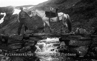 Hans M. Hov og kløvhesten på veg over steinbrui ved Vassosen. Dei er på veg over Fresvikbreen til Jordalen.