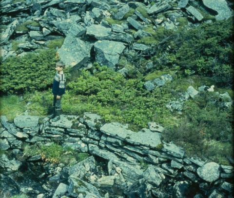 Krøtterstien langs Botna-elva var ennå godt synleg tidleg på 1970-talet. I ura langs elva var det rikeleg tilgang på stein til byggjing av stien.