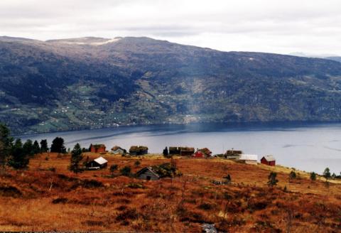 Heggdalsstøylen. Vi ser Liaselet i midten, til venstre for det raude selet. Liaselet er frå 1874, og det eldste på støylen.