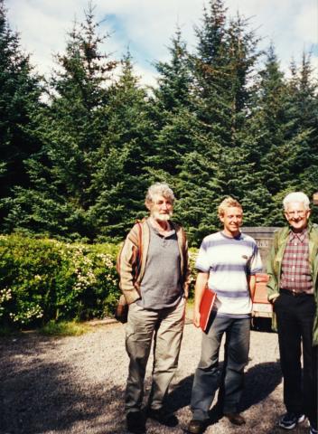 I 2001 reiste skogplantarane Torleiv Førland (høgre) og Agnar Tingnes til Island for å sjå skogen dei var med og planta i 1961. Her står dei saman med den islandske skogsjefen (midten).