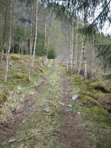 Gamlevegen mellom gardane Bell og Ytre Eldal tok av på Vaulestranda ved Føllingvatnet. I 2008 er vegen stykkevis opparbeidd til traktorveg.