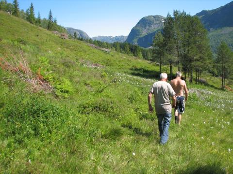 Gunnar Jan Gjerland (fremst) og Jon Roald Frøysland på veg mot nedslaget i Ormhaugbakken.