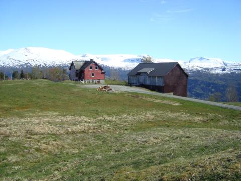 Garden Fjellvang i Stryn