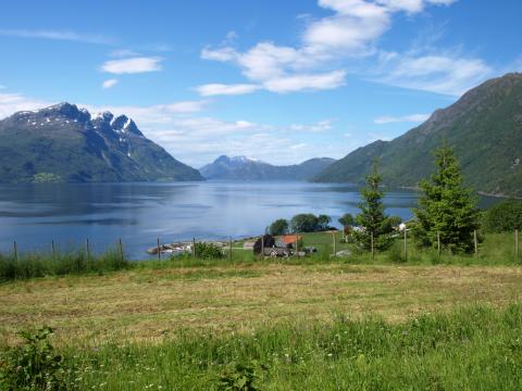 Utsikt frå Bellevue.