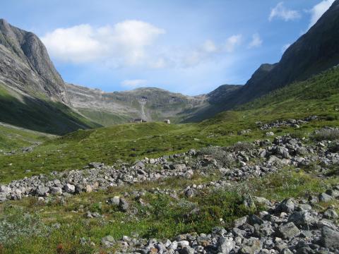 Setra Stol i Glomsdalen, Oppstryn.