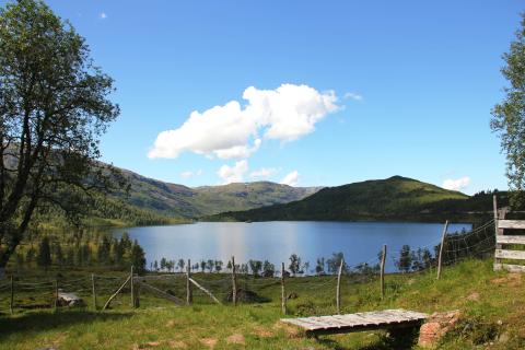 bilde av vatn, fjell i bakgrunnen, sti med bru oven ein bekk i forgrunnen