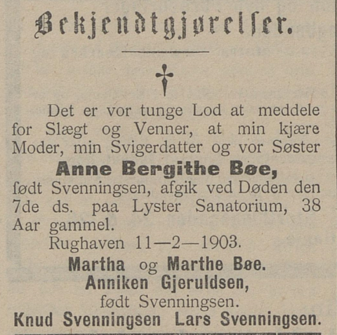 Dødsannonse i Tvedestrandsposten, 11.02.1903: Anne Bergithe Bøe, døydde på Luster Sanatorium, 7. februar 1903. Ho vart gravlagd i Dale sokn i Luster kommune.