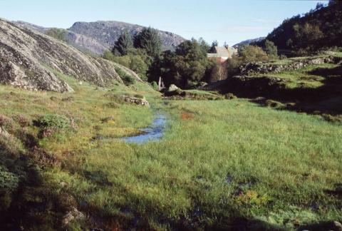 Istjørna aust for husa i Porten. Ho vart utgreven for å gi is til sjøbua. No er ho for lengst attgrodd. I bakgrunnen skimtar vi nokre av husa i Porten.
